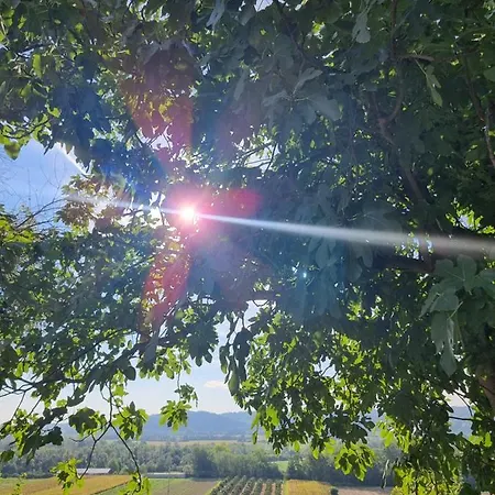 Pensjonat Ca' San Michele Asti
