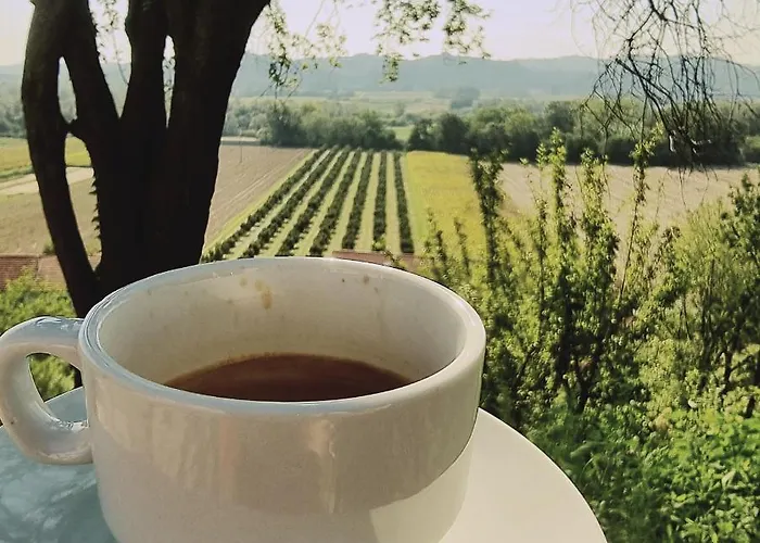 Ca' San Michele אסטי