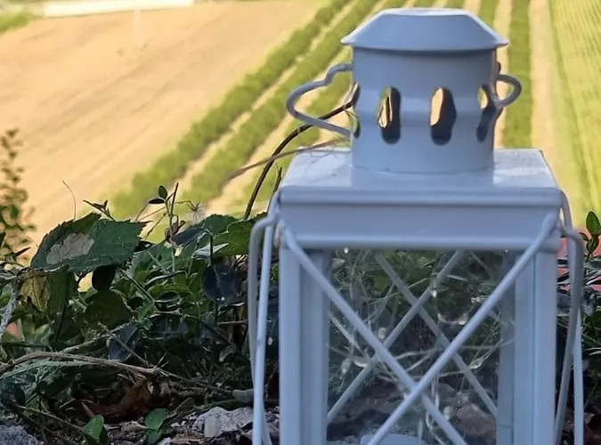 Ca' San Michele * אסטי