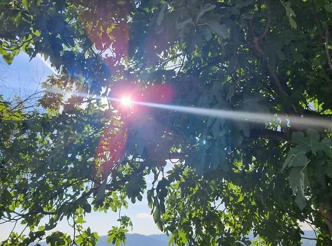 בית הארחה Ca' San Michele אסטי